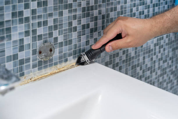 Best Home Mold Removal  in Huntgburg, IN