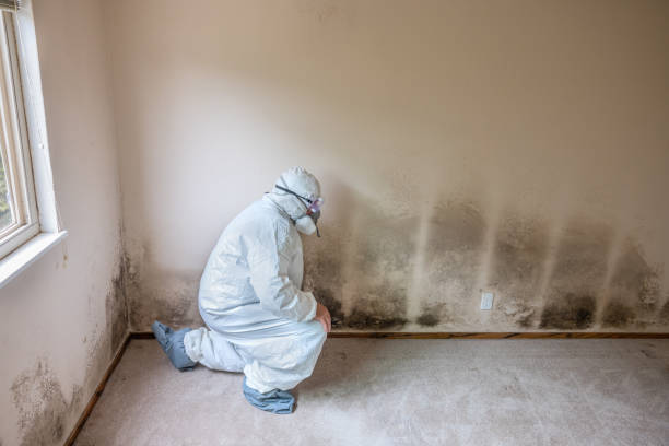 Water Damage Restoration in Huntingburg, IN